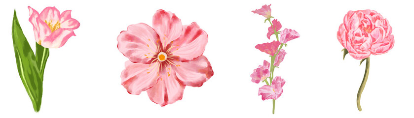 Digital watercolor art of a delicate set of pink flowers in full bloom
