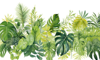 PNG  Tropical leaves backgrounds nature plant.