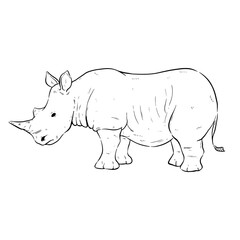 Rhino hand drawing illustration on white background