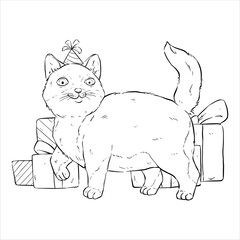hand drawing cute birthday cat character illustration