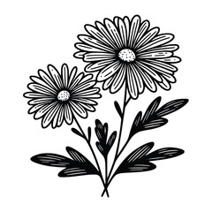 daisy flower lineart vector illustration. Flower silhoutte