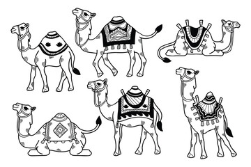 A set of black and white drawings of camels with different colored blankets