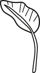 A leafy plant with a black outline