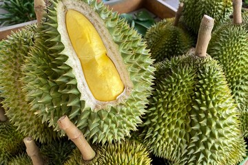 tropical fruit durian Fresh from the garden in Thailand