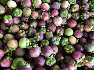 Fresh tropical mangosteen from our garden in Thailand