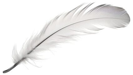 PNG Falling Feather feather white.