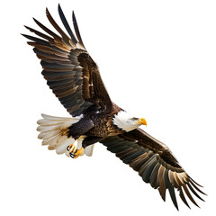 American Eagle is flying gracefully, Isolated on transparent background. 
