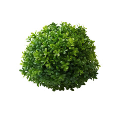 Obraz premium Artificial plant ball, green simulation plant, home decoration, garden decoration, plastic flower ball.