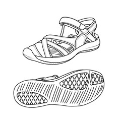 Template vector hiking sandals. Outline vector doodle illustration. Front, side, and bottom views isolated on a white background