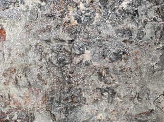 Gray concrete texture. Gray texture background and blank