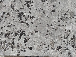 Gray concrete texture. Gray texture background and blank