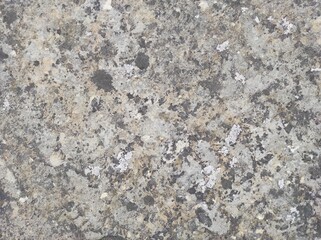 Photo of natural stone texture. Texture of the wall made of natural stone