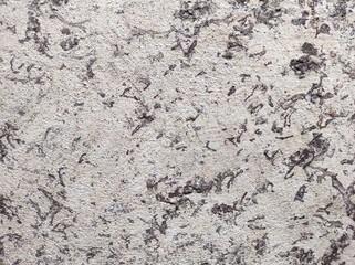 Gray concrete texture. Gray texture background and blank