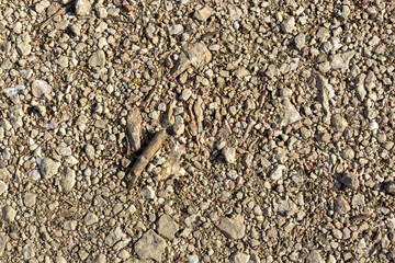 the texture of the riverbank with a rocky fraction and a sand-gravel mixture, a background for designers