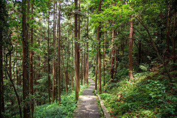 Obraz premium Zhangjiajie National Forest Park, northwestern part of Hunan Province, China