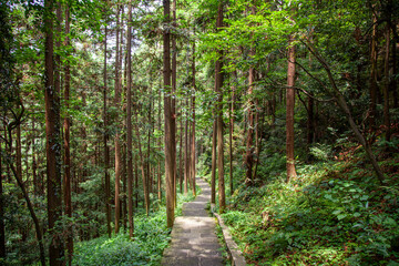 Obraz premium Zhangjiajie National Forest Park, northwestern part of Hunan Province, China