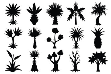 Set of Yucca black Silhouette Design with white Background and Vector Illustration