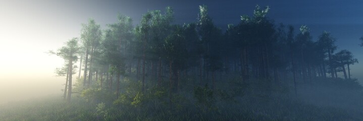 Forest in the morning in a fog in the sun, trees in a haze of light, glowing fog among the trees, 3D rendering