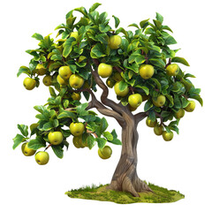 The apple tree is full of green apples. The leaves are lush and green. The tree is healthy and looks delicious.
