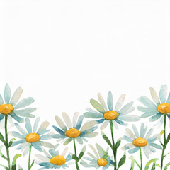 Realistic watercolor daisy flower border background