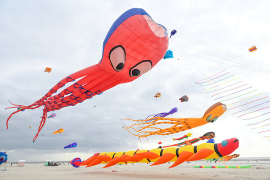 Rencontre internationale de cerf volant Berck sur Mer 2024 France
