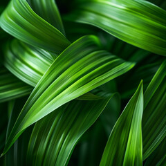 A close-up view reveals an abstract green background with a natural texture, featuring curved lines and organic shapes. Vibrant green leaves are depicted in close-up, embodying the essence of spring 
