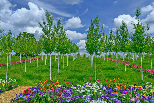 BUGA, Bundesgartenschau 2023 in der Universitaetsstadt Mannheim in der Kurpfalz in Baden-Wuerttemberg, Deutschland, Europa