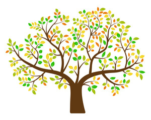 Colorful Tree Vector Icon Design. Growth and wisdom logo design. Green tree icon.