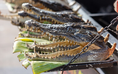 Teeth on crocodile jaws as a background