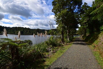 Like side view at the Waitakere dam with toi toi grass