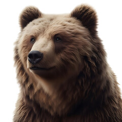a calm brown grizzly bear, transparent background, png