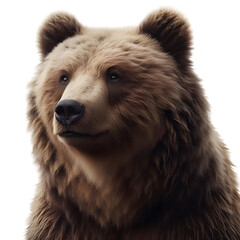 Fototapeta premium a calm brown grizzly bear, transparent background, png