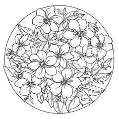 Mandala jasmine flowers in a circle illustration clip art coloring book black and white for kids and adults isolated line art on white background.