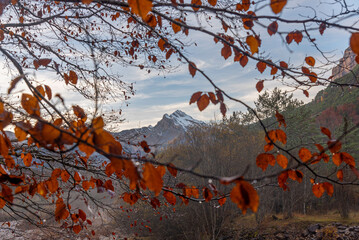 The magic of the autumn landscape of Monte Perdido in the Pyrenees, Arazas river in the background with the Cebollar peak, Torla, Huesca