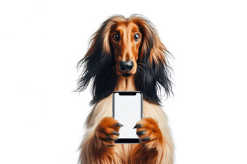 surprised Afghan Hound dog hold smartphone white mockup screen on a white background