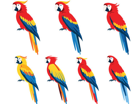Colorful parrots perched, vivid red, yellow, blue feathers, exotic birds, multiple poses. Brightly colored tropical macaws, illustrations isolated white background, avian theme. Scarlet macaws
