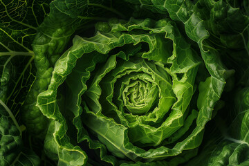 Obraz premium swirls in shades of green,in shapes of cabbage 