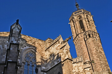 Barcellona, La cattedrale di Barcellona, totti, contrafforti e decorazioni gptiche - Catalogna,...