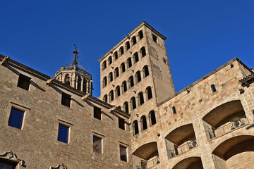 Fototapeta premium Barcellona, La cattedrale di Barcellona, totti, contrafforti e decorazioni gptiche - Catalogna, Spagna 
