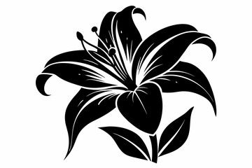 A lily flower silhouette black vector artwork illustration 