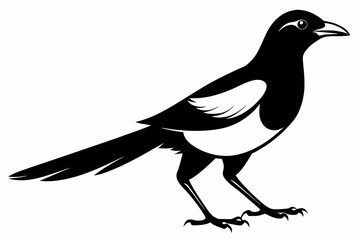 A magpie different style silhouette black vector artwork illustration 