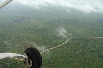 far away ariel view of the jungle rain forest canopy and dirt road in Toledo District, Southern Belize, Central America with tree tops in lush green taken from a light aircraft