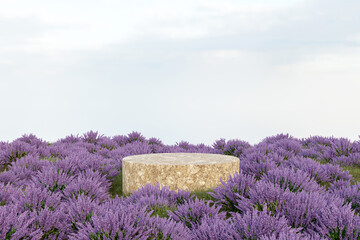 3d render platform and Natural springtime background, Stone podium on lavender field and grassland for product stand display, advertising, mockup or etc