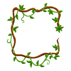 Liana jungle frame. Rainforest liana wild greenery. Cartoon plant, creeper branch. Grass and wood leaf sign. Botany texture. Vector forest game element