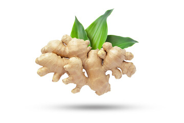 Flying ginger root with green leaves and shadow isolated on white background.