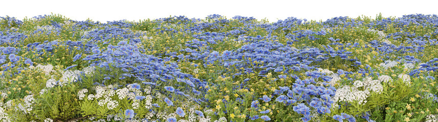 Evergreen colorful flower and grass field in nature, Beautiful wild flowres on forest in springtime with isolated on transparent background - PNG file, 3D rendering illustration