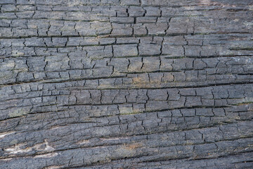 wood texture background burning and turning into wood charcoal. photo concept for forest burning, illegal logging causing climate change