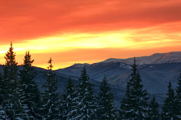 winter nature scenery, amazing sunset in Carpathians, Ukraine, Europe