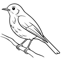 illustration of a bird