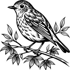 illustration of a bird